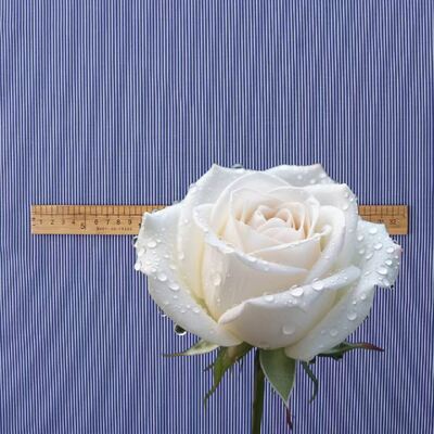 Strapazierfähiges Baumwollgarn gefärbtes Streifengewebe für formelle Uniformhemden 110 g/m²